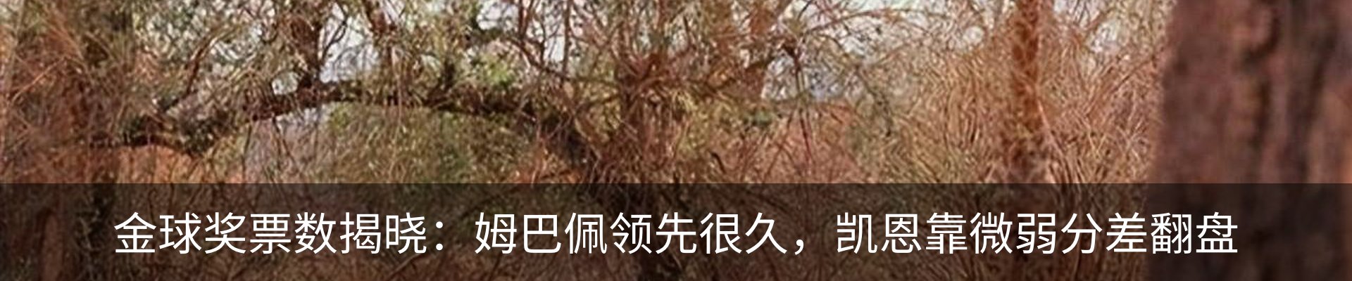 内页banner